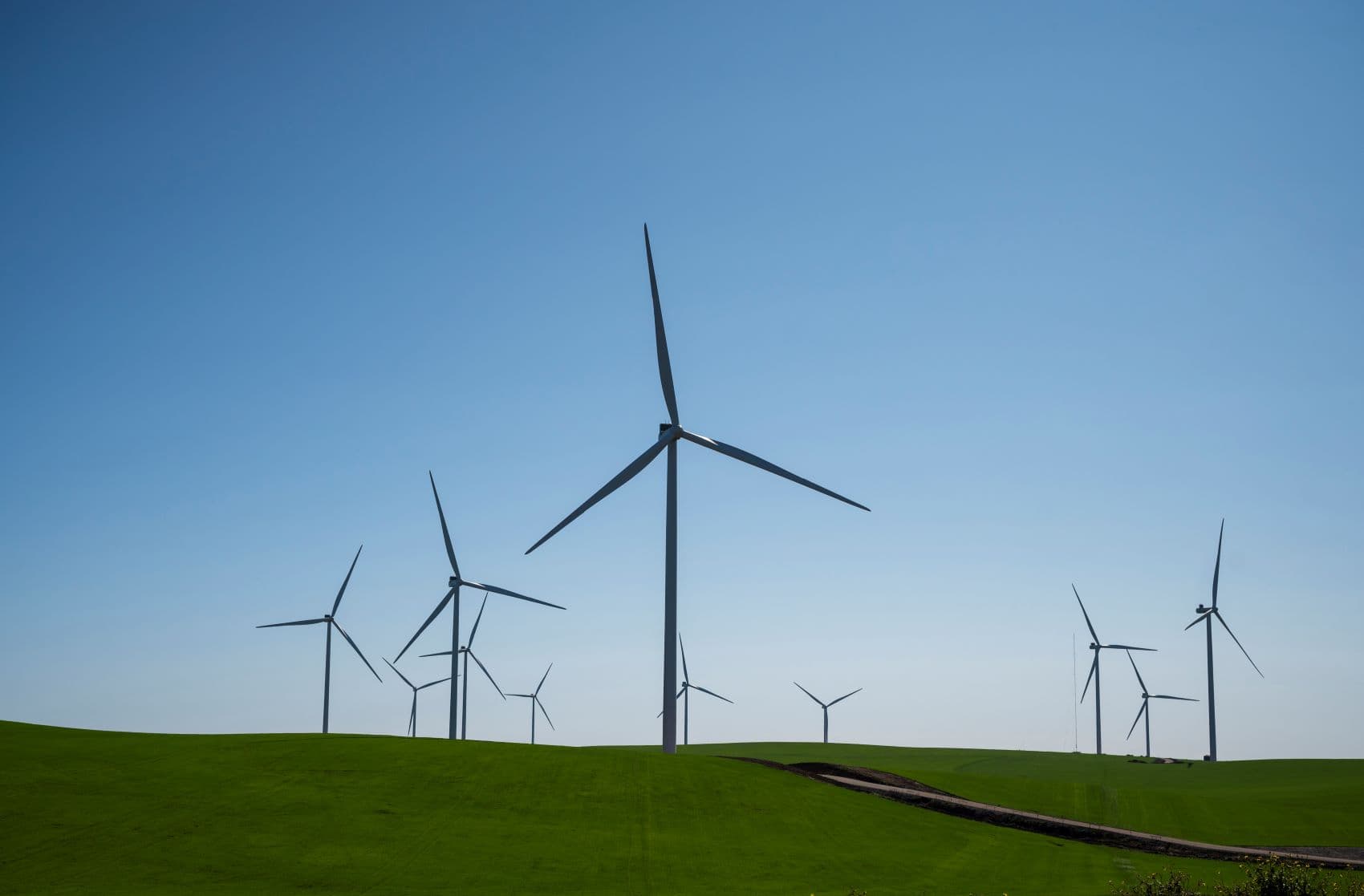 Genneia anuncia la entrada en operación del Parque Eólico La Elbita