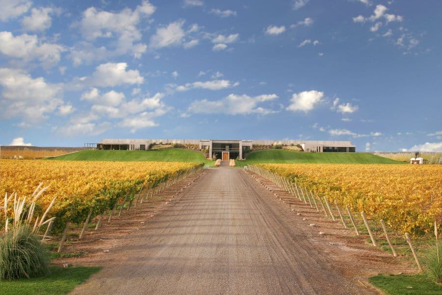 San Patricio del Chañar: de la Patagonia al mundo