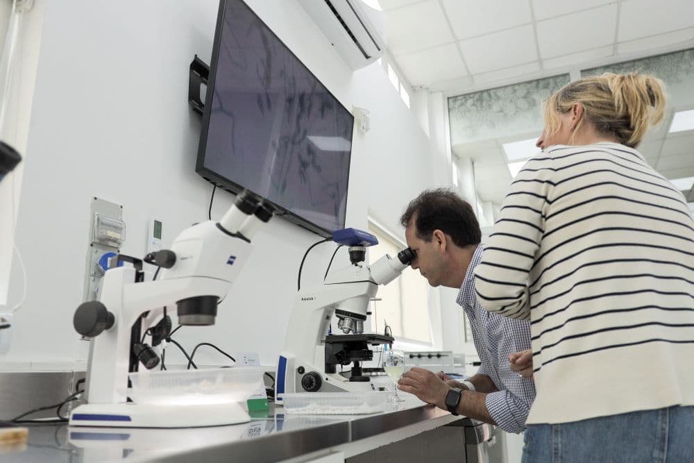 Syngenta invierte en su Seedcare Institute, con más innovación en tratamiento de semillas y servicios en biológicos