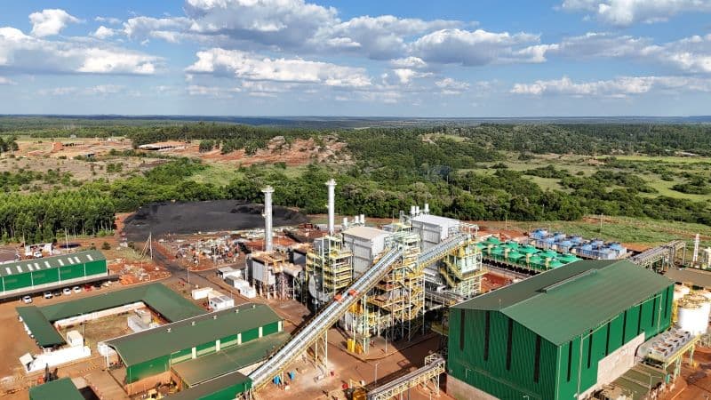 Insud inaugura su segunda planta de energía renovable