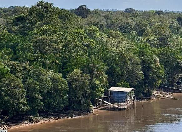 El Thought Leadership climático está cambiando las reglas en América Latina