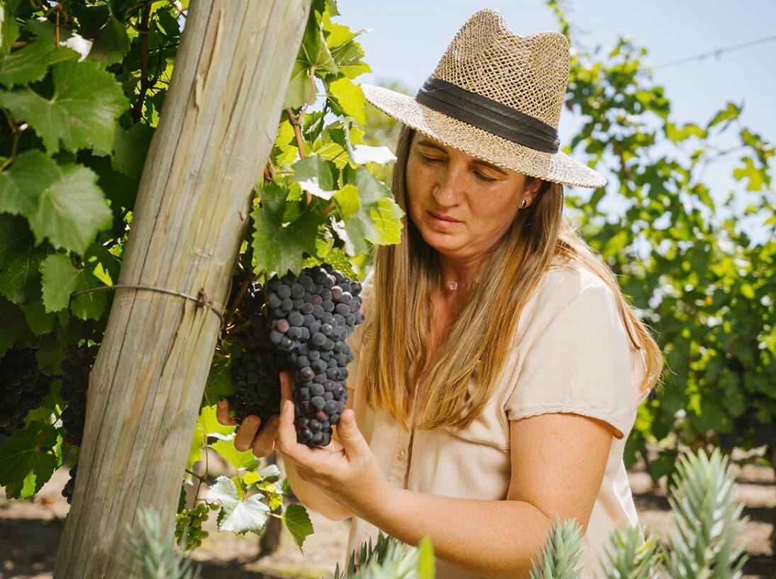 Día del Pinot Noir: Bodega Cruzat lanza espumoso Millésime 2018