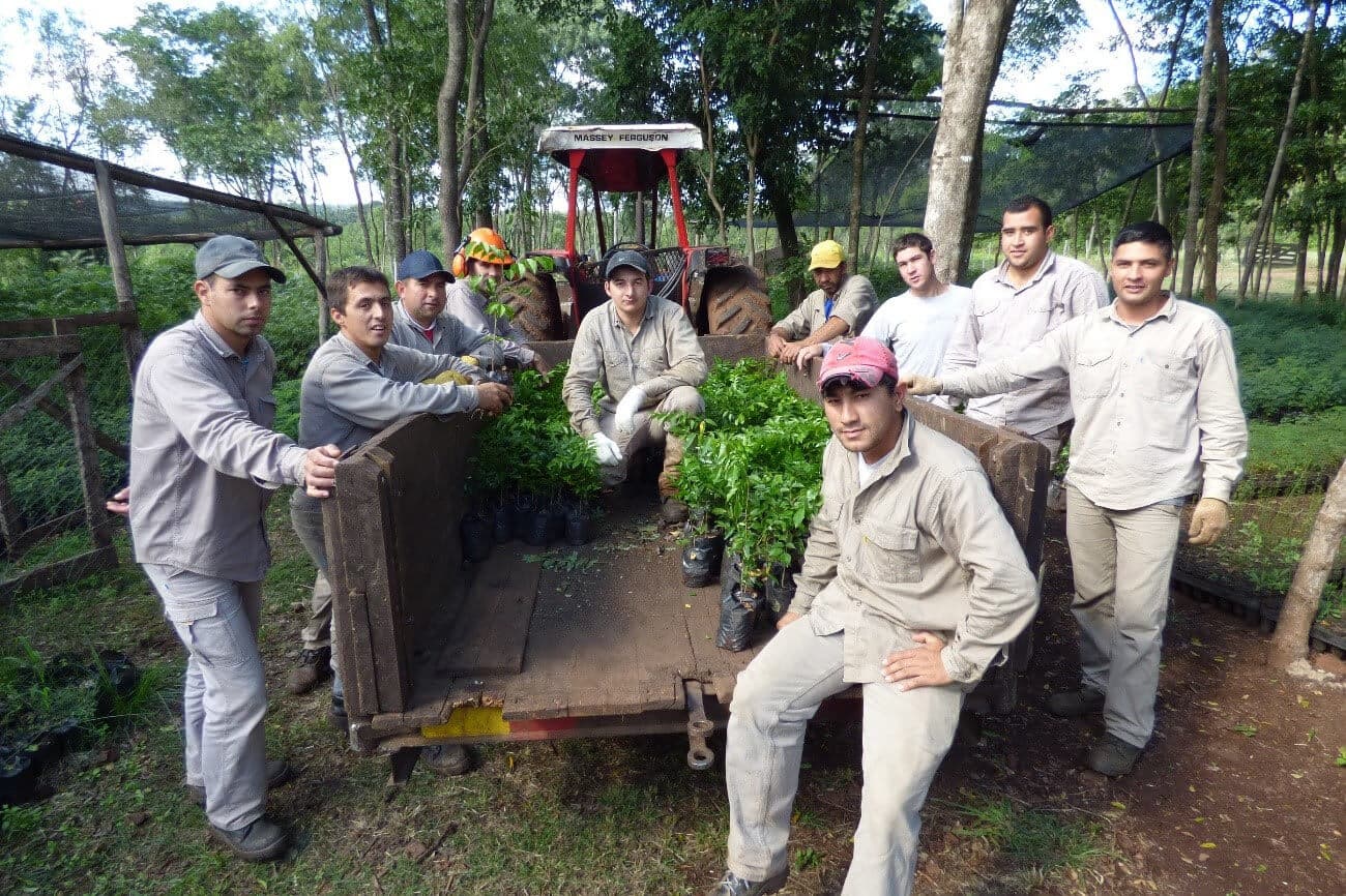 Concept Nature Management obtiene la primera certificación PEFC de manejo sostenible de bosques nativos