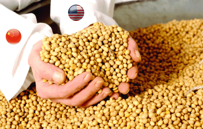 Tregua comercial entre Estados Unidos y China genera expectativas en los precios internacionales de granos