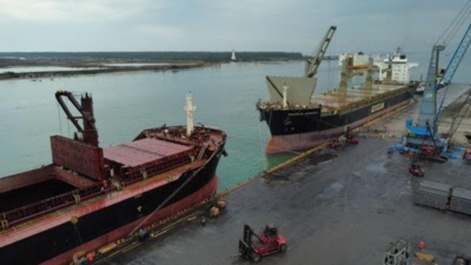 Logistec acordó la adquisición de IPA Terminal en el puerto de Altamira, México