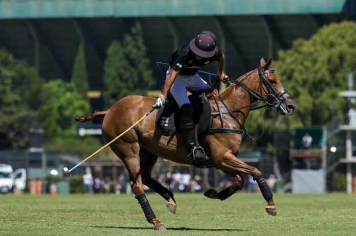 Ellerstina, la dinastía que cambió para siempre el mapa del polo argentino