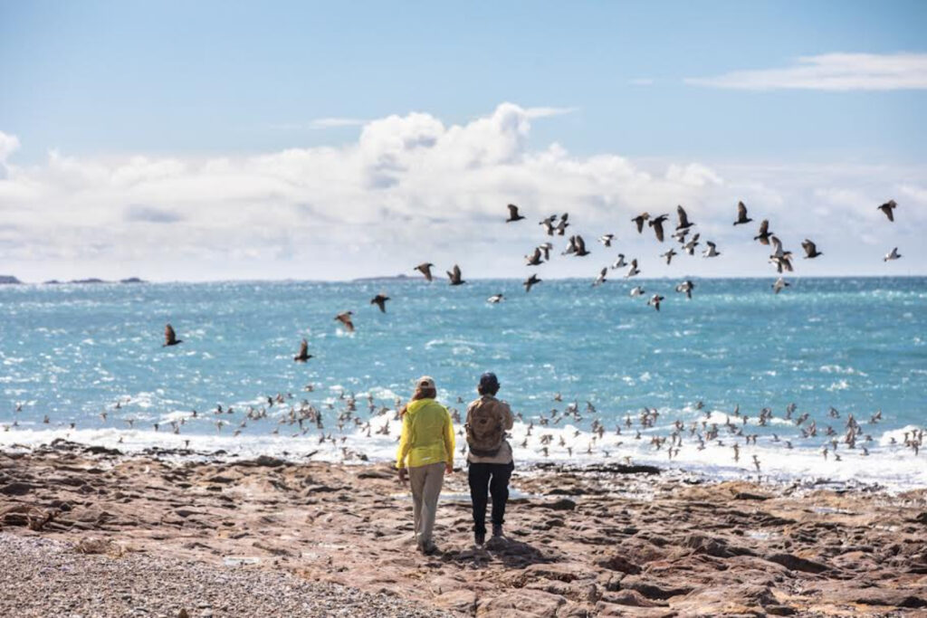 Parque Patagonia Azul convoca a dos jornadas gratuitas de senderismo en Chubut