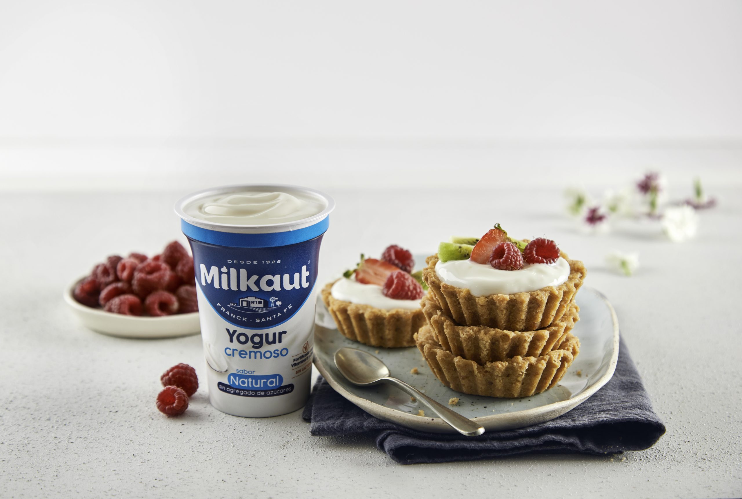 Milkaut presenta su yogur cremoso natural, sin azúcar ni lactosa - Revista  Mercado